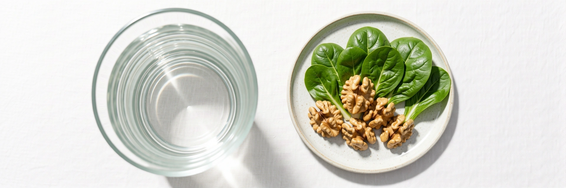 Čistota informací a surovin